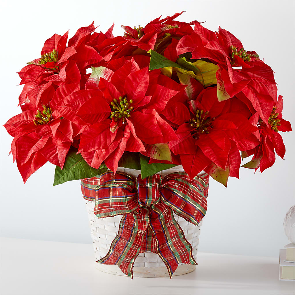 Happiest Holidays Poinsettia – Sayla Flowers, Los Angeles CA