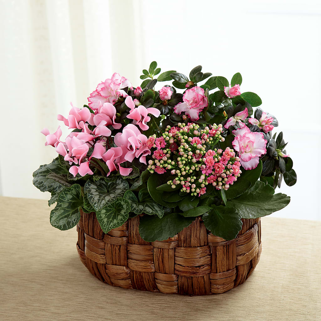 Pink Assortment – Sayla Flowers, Los Angeles CA
