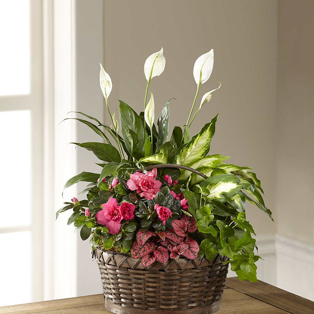 Dream in Pink Dishgarden – Sayla Flowers, Los Angeles CA