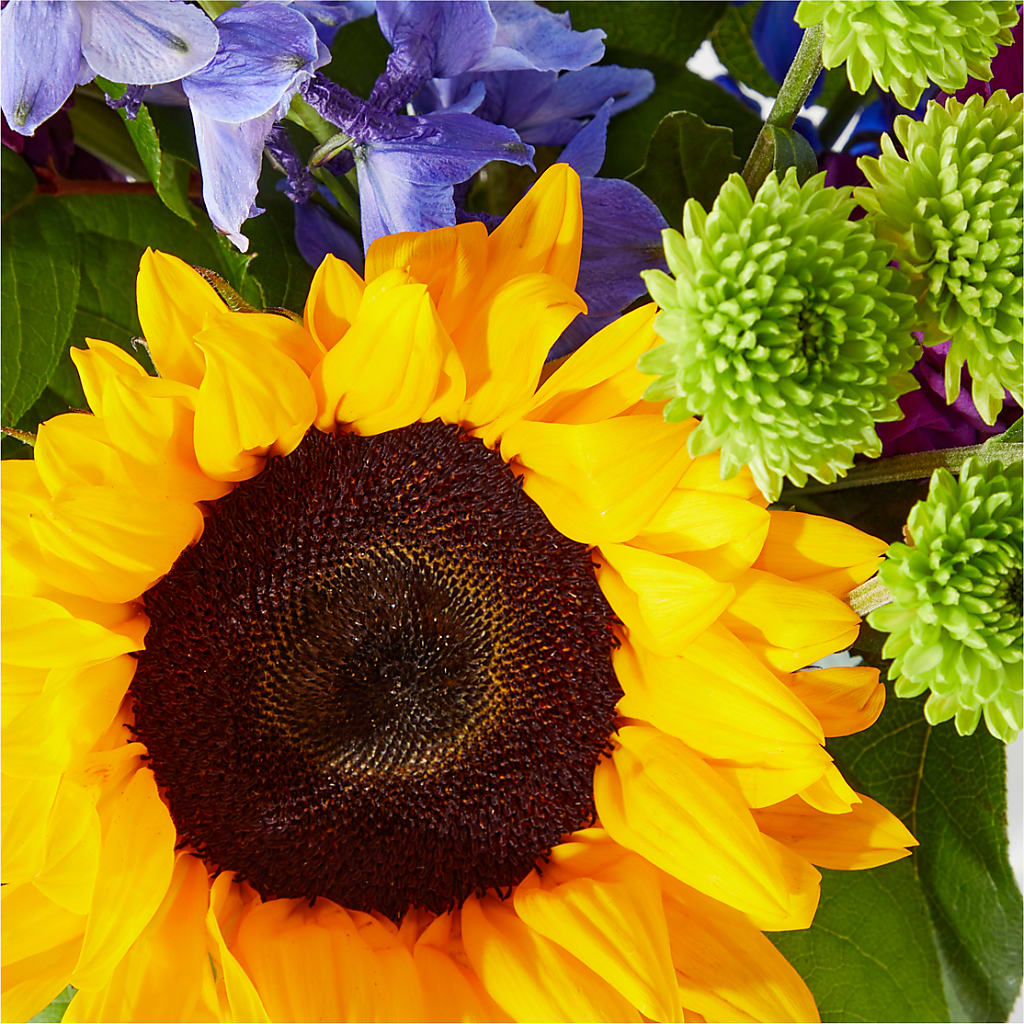 Catching Rays Bouquet – Sayla Flowers, Los Angeles CA