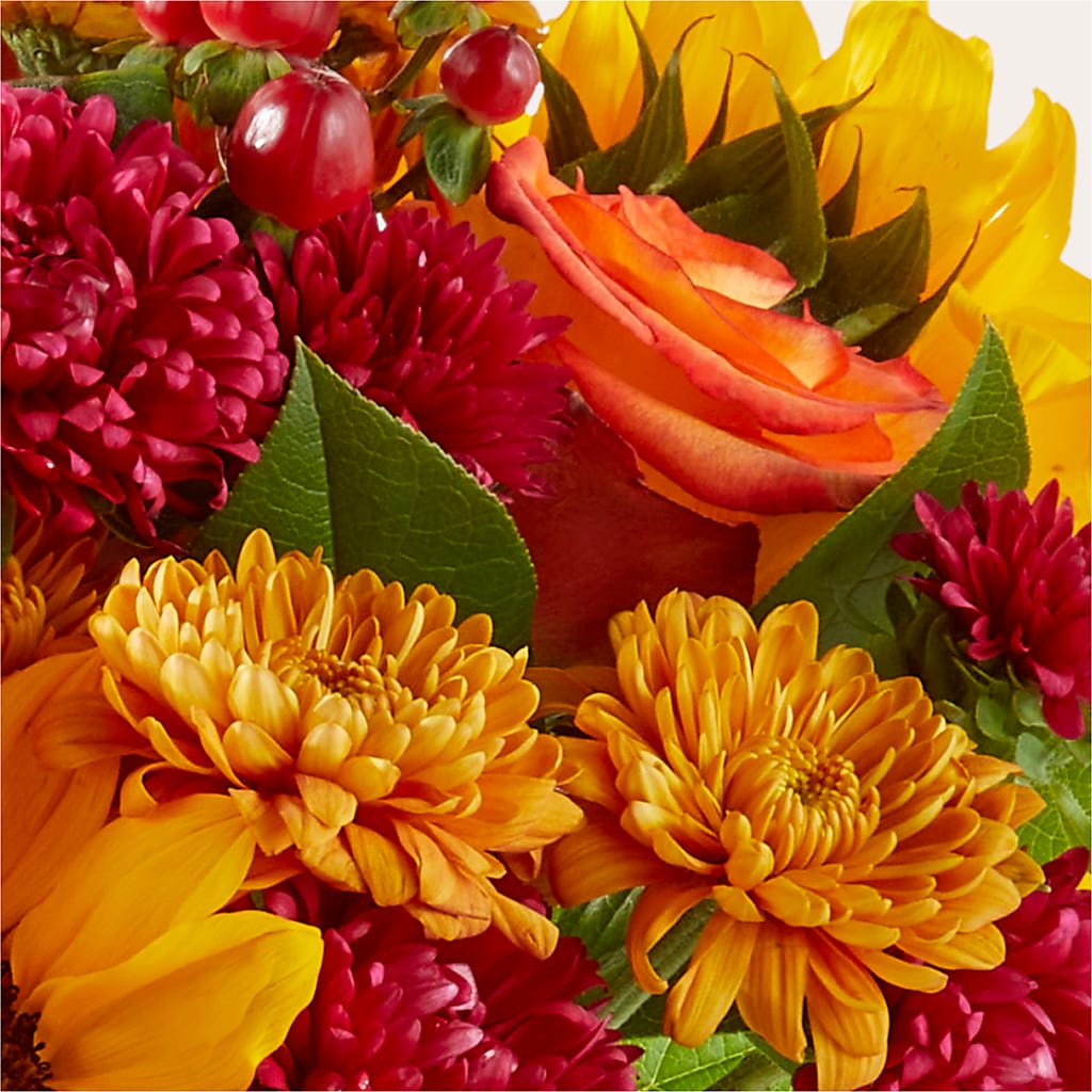 Sweater Season - A Florist Original – Sayla Flowers, Los Angeles CA