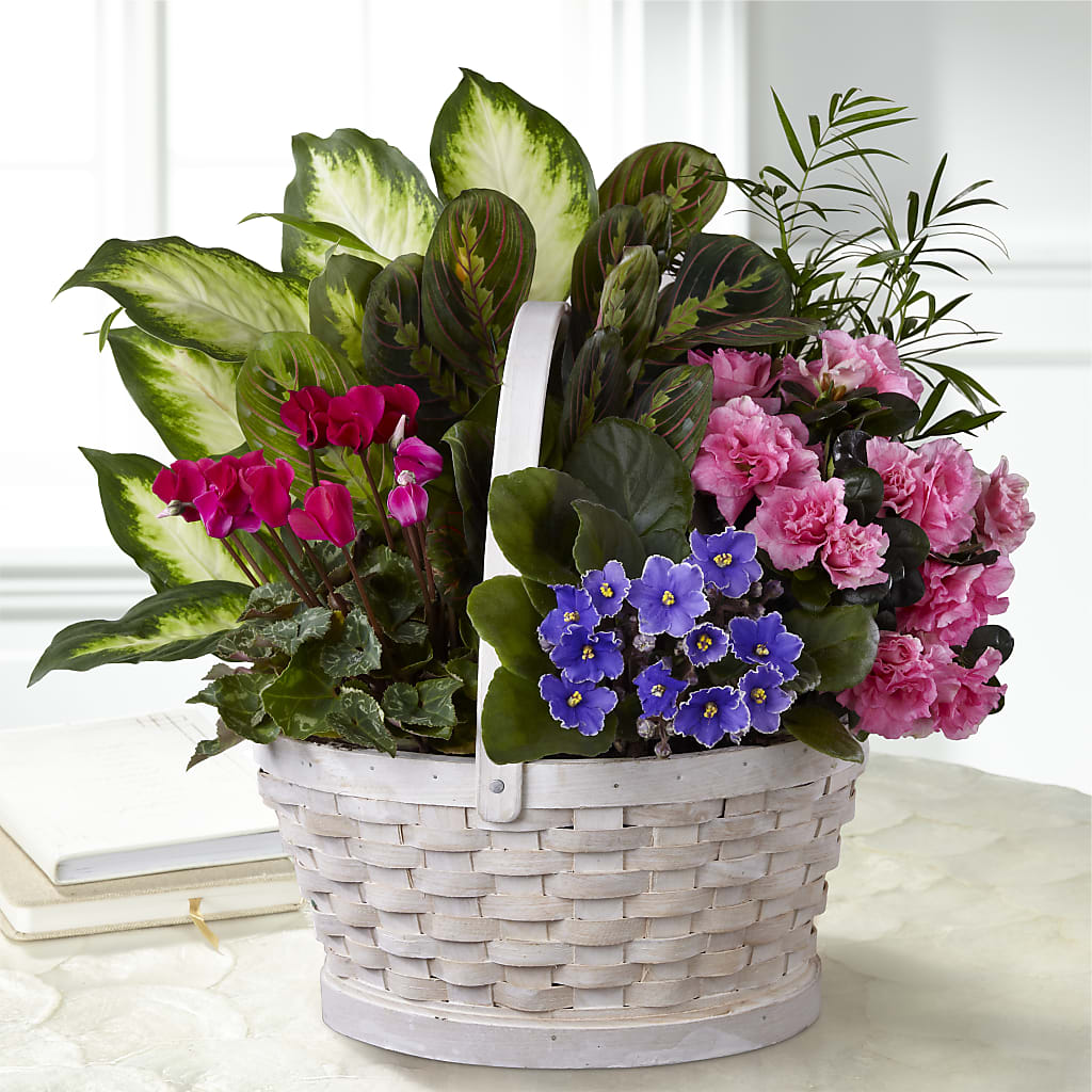 Peaceful Garden Planter – Sayla Flowers, Los Angeles CA