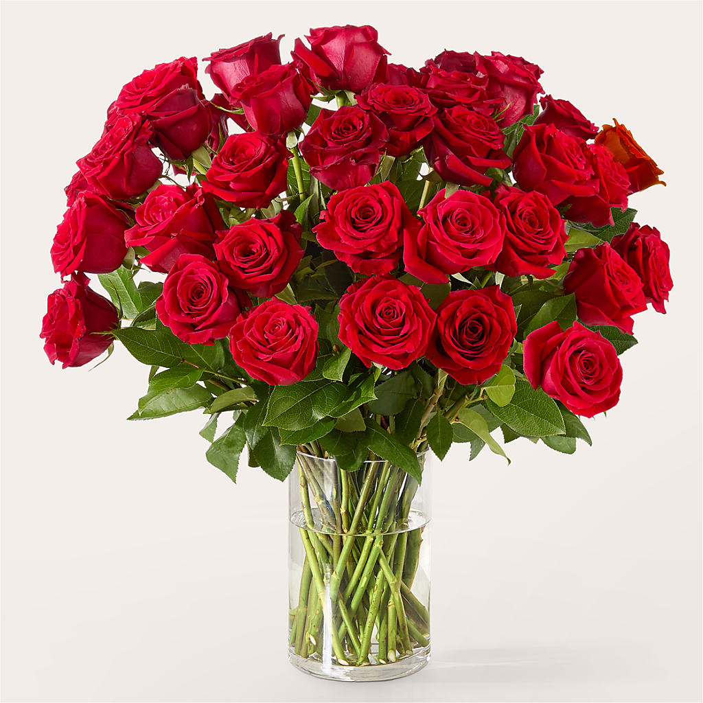 The One Red Rose Bouquet – Sayla Flowers, Los Angeles CA