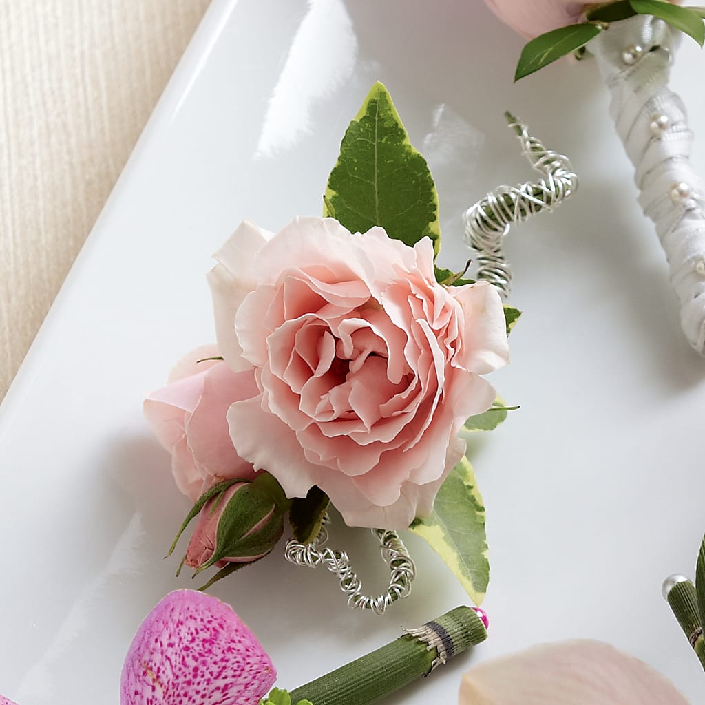 Pink Spray Rose Boutonniere – Sayla Flowers, Los Angeles CA