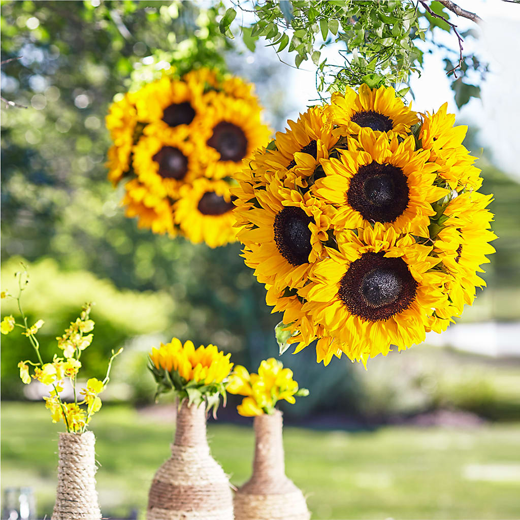 Sublime Garden Hanging Arrangement – Sayla Flowers, Los Angeles CA