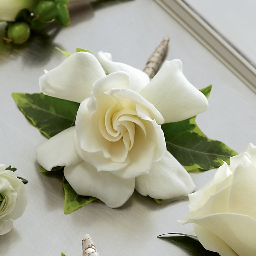 Gardenia Boutonniere – Sayla Flowers, Los Angeles CA
