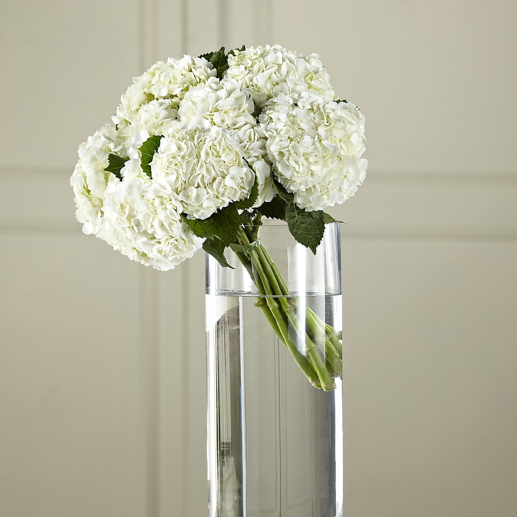 White Hydrangea Hand-Tied Bouquet – Sayla Flowers, Los Angeles CA