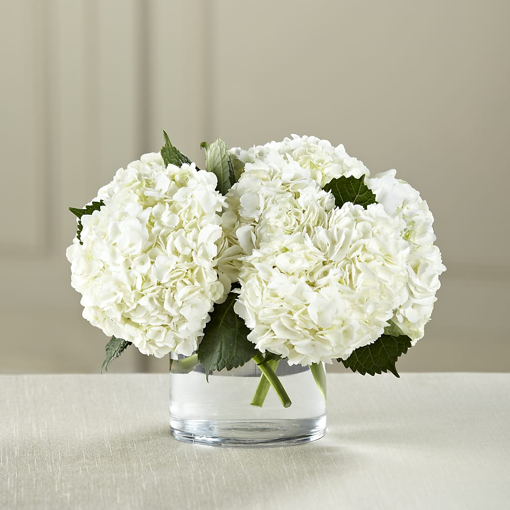 White Hydrangea Bouquet – Sayla Flowers, Los Angeles CA