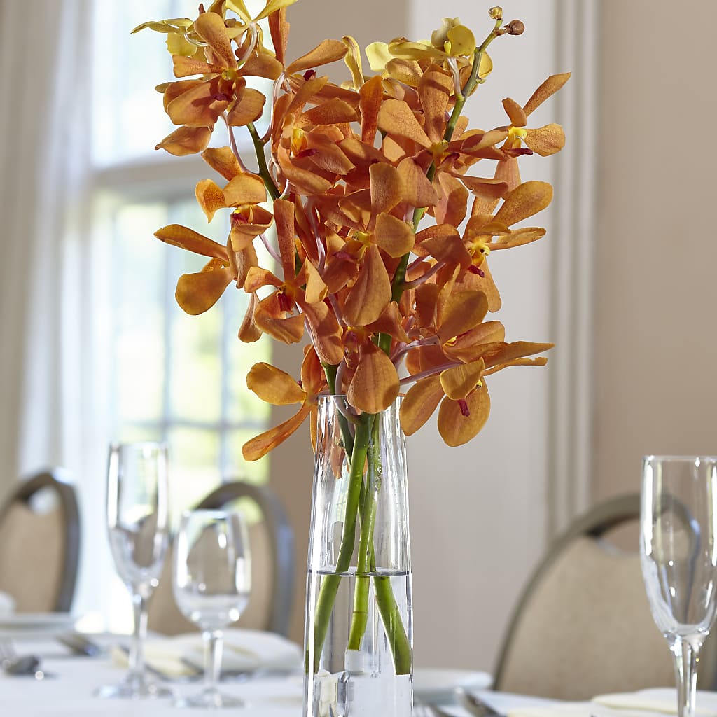 Orange Mokara Bud Vase – Sayla Flowers, Los Angeles CA