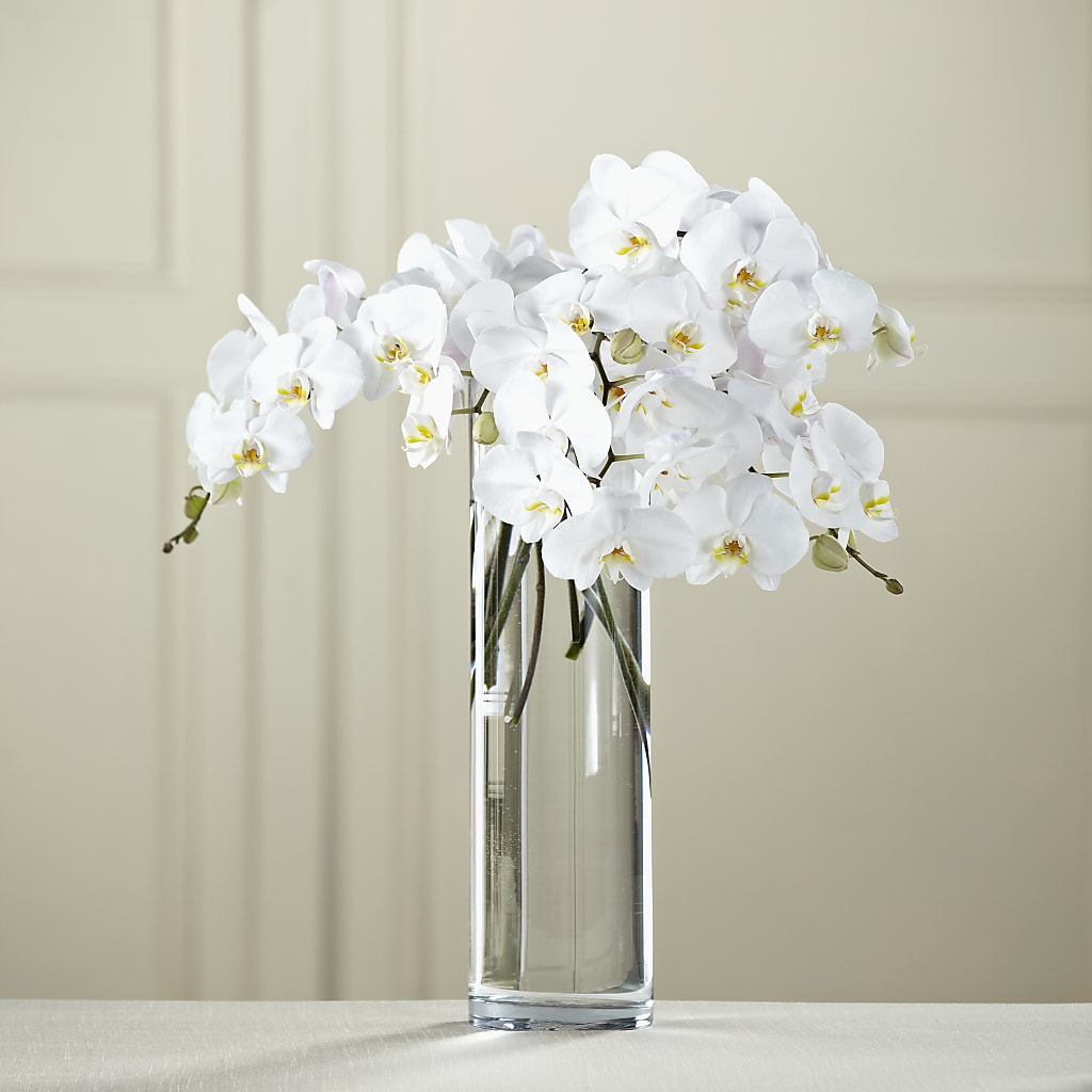 White Phalaenopsis Bouquet – Sayla Flowers, Los Angeles CA