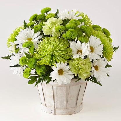 Lucky Charm Basket (Standard) –  Sayla Flowers, Los Angeles CA