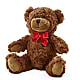 Adorable Plush Bear –  Sayla Flowers, Los Angeles CA