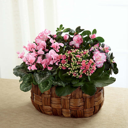 Pink Assortment –  Sayla Flowers, Los Angeles CA