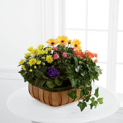 Gentle Blossoms Basket –  Sayla Flowers, Los Angeles CA