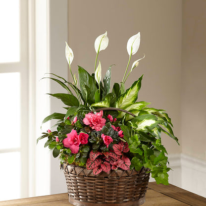 Dream in Pink Dishgarden –  Sayla Flowers, Los Angeles CA