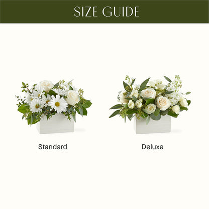 Fresh Linen Box Bouquet –  Sayla Flowers, Los Angeles CA