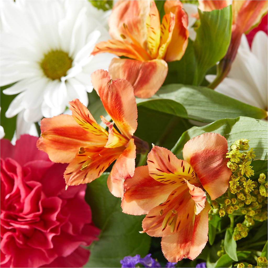 Oopsie Daisy Box Bouquet –  Sayla Flowers, Los Angeles CA
