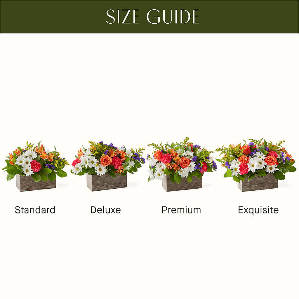 Oopsie Daisy Box Bouquet –  Sayla Flowers, Los Angeles CA