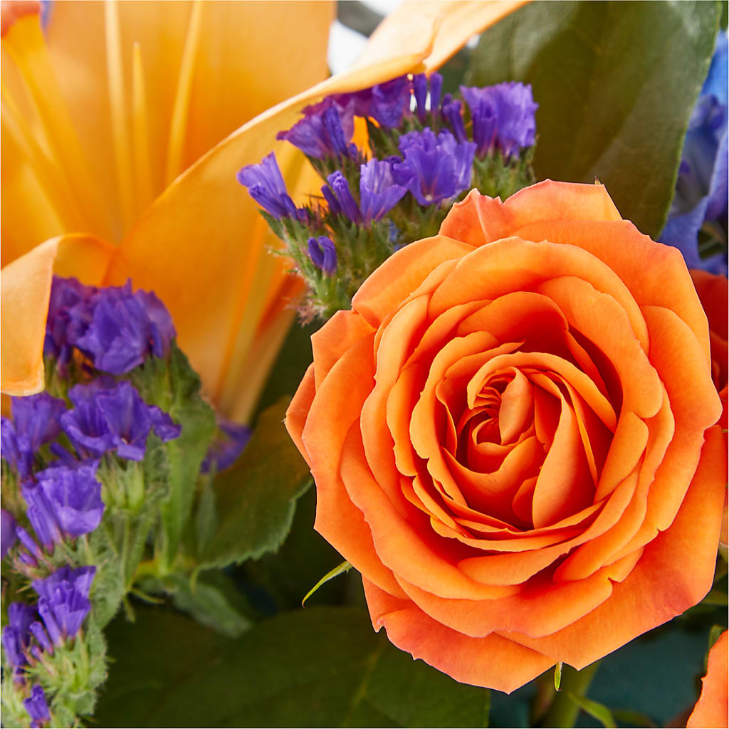 Radiant Citrus Box Bouquet –  Sayla Flowers, Los Angeles CA