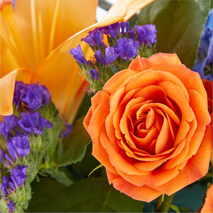Radiant Citrus Box Bouquet –  Sayla Flowers, Los Angeles CA