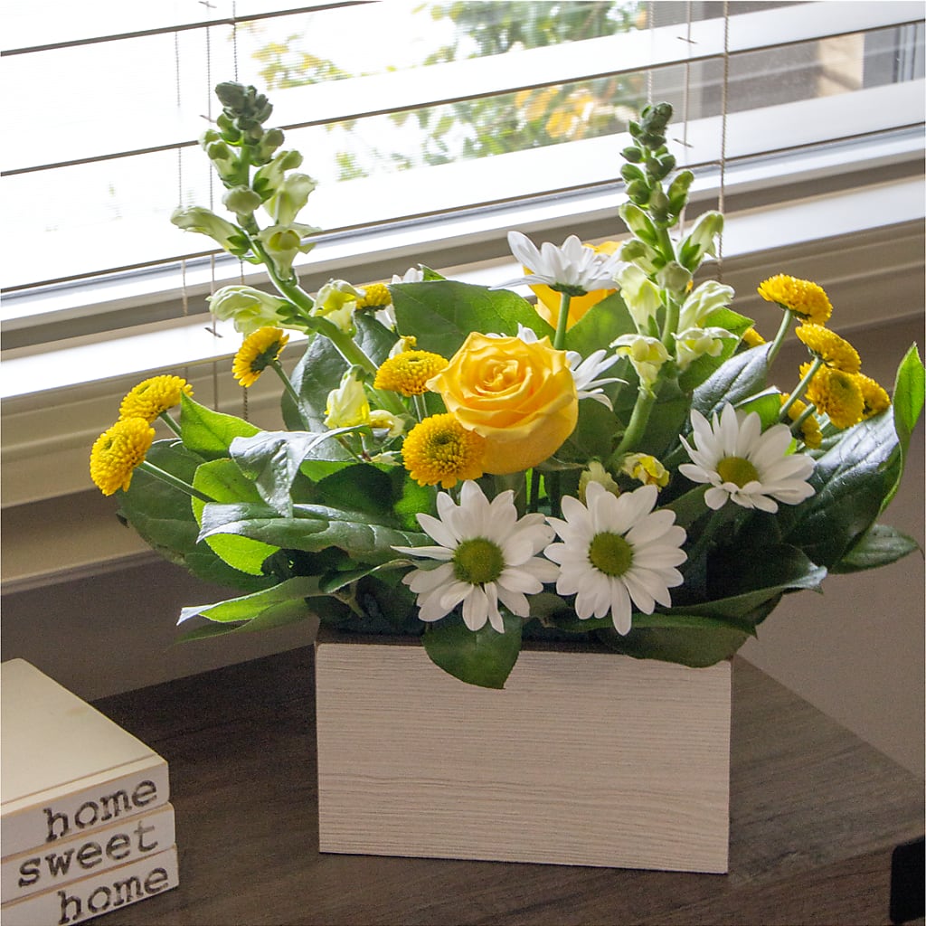 Sun Salutation Box Bouquet –  Sayla Flowers, Los Angeles CA