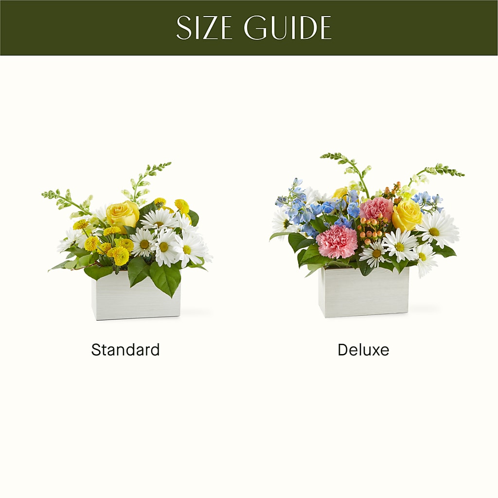 Sun Salutation Box Bouquet –  Sayla Flowers, Los Angeles CA