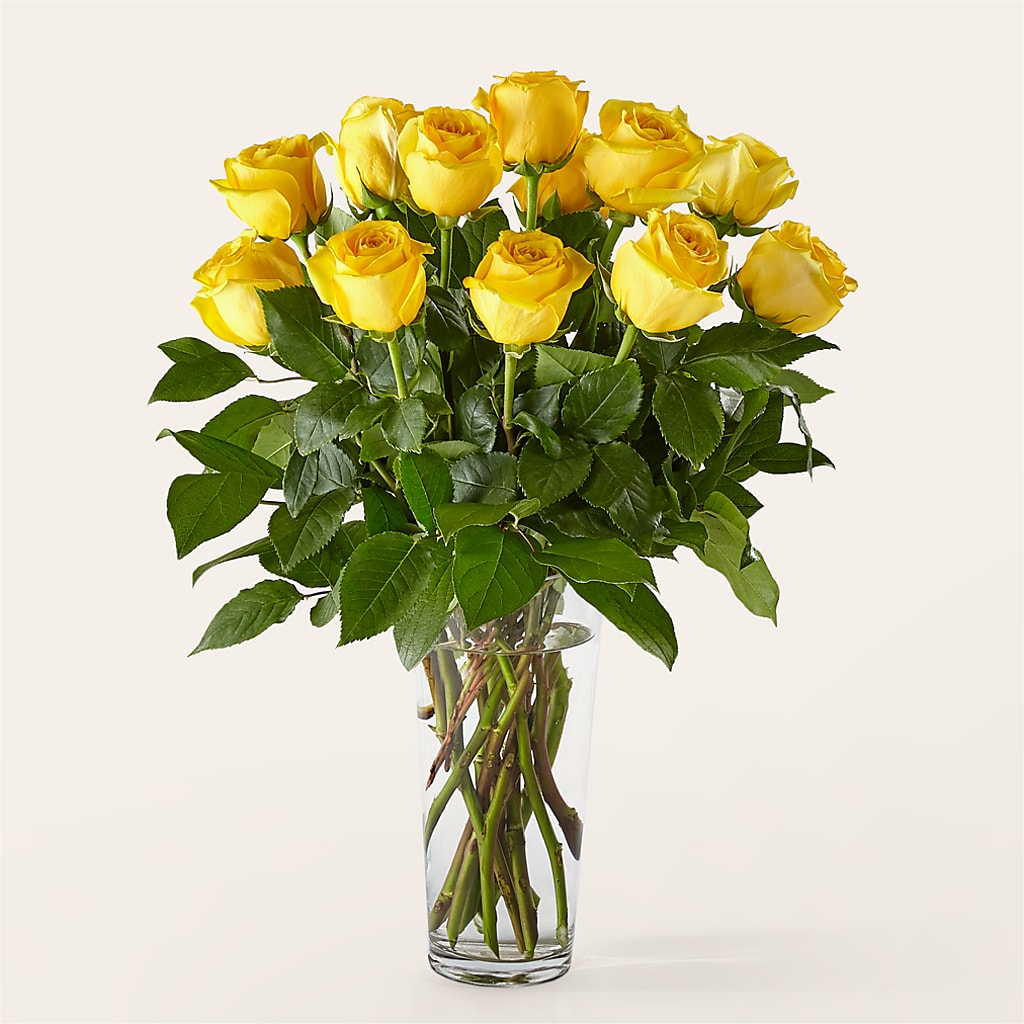 Long Stem Yellow Rose Bouquet –  Sayla Flowers, Los Angeles CA