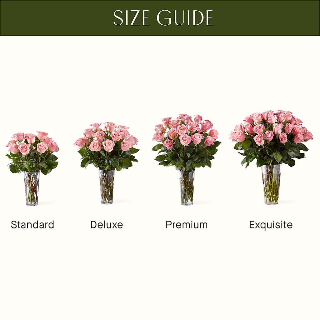 Long Stem Pink Rose Bouquet –  Sayla Flowers, Los Angeles CA