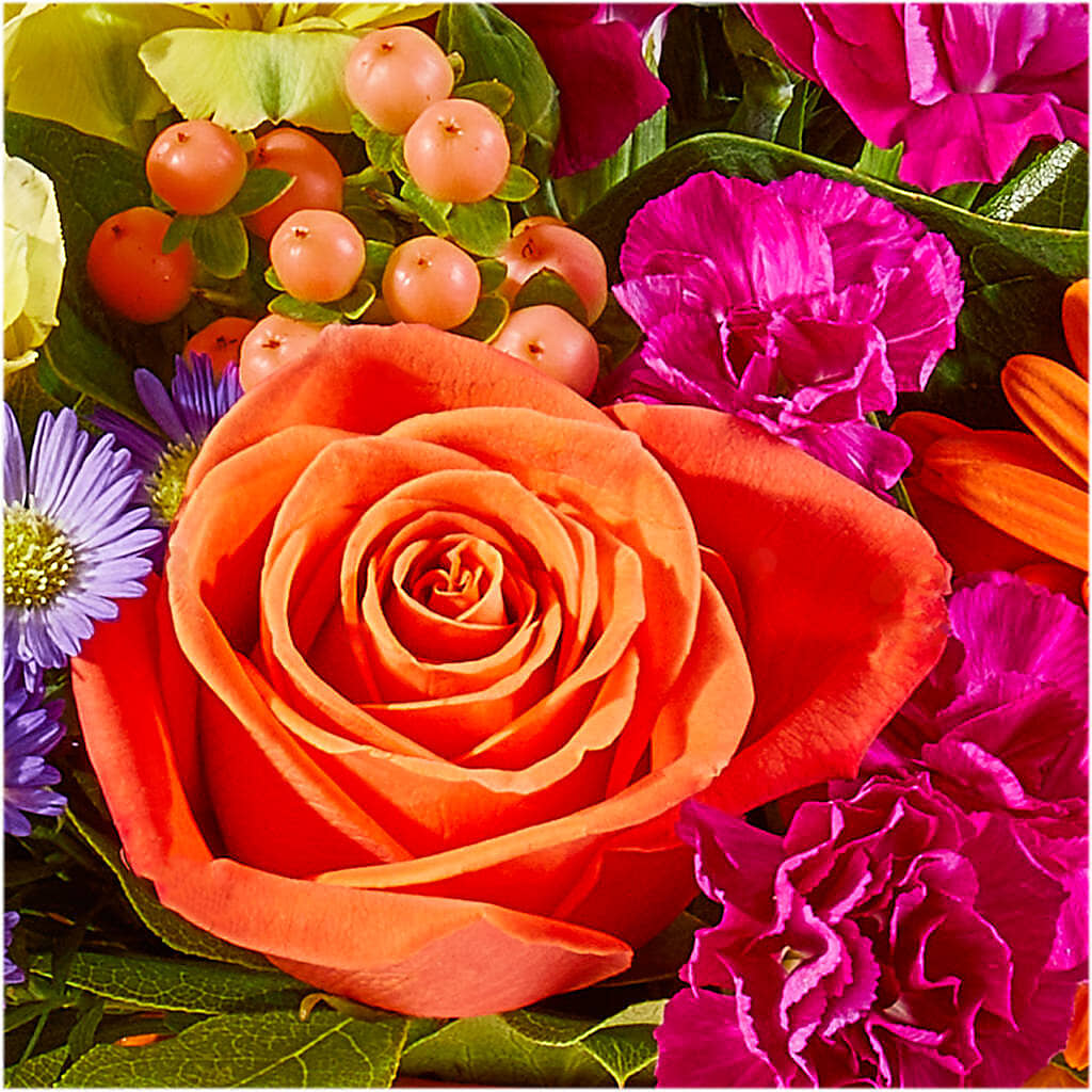 Tricks & Treats Pumpkin –  Sayla Flowers, Los Angeles CA