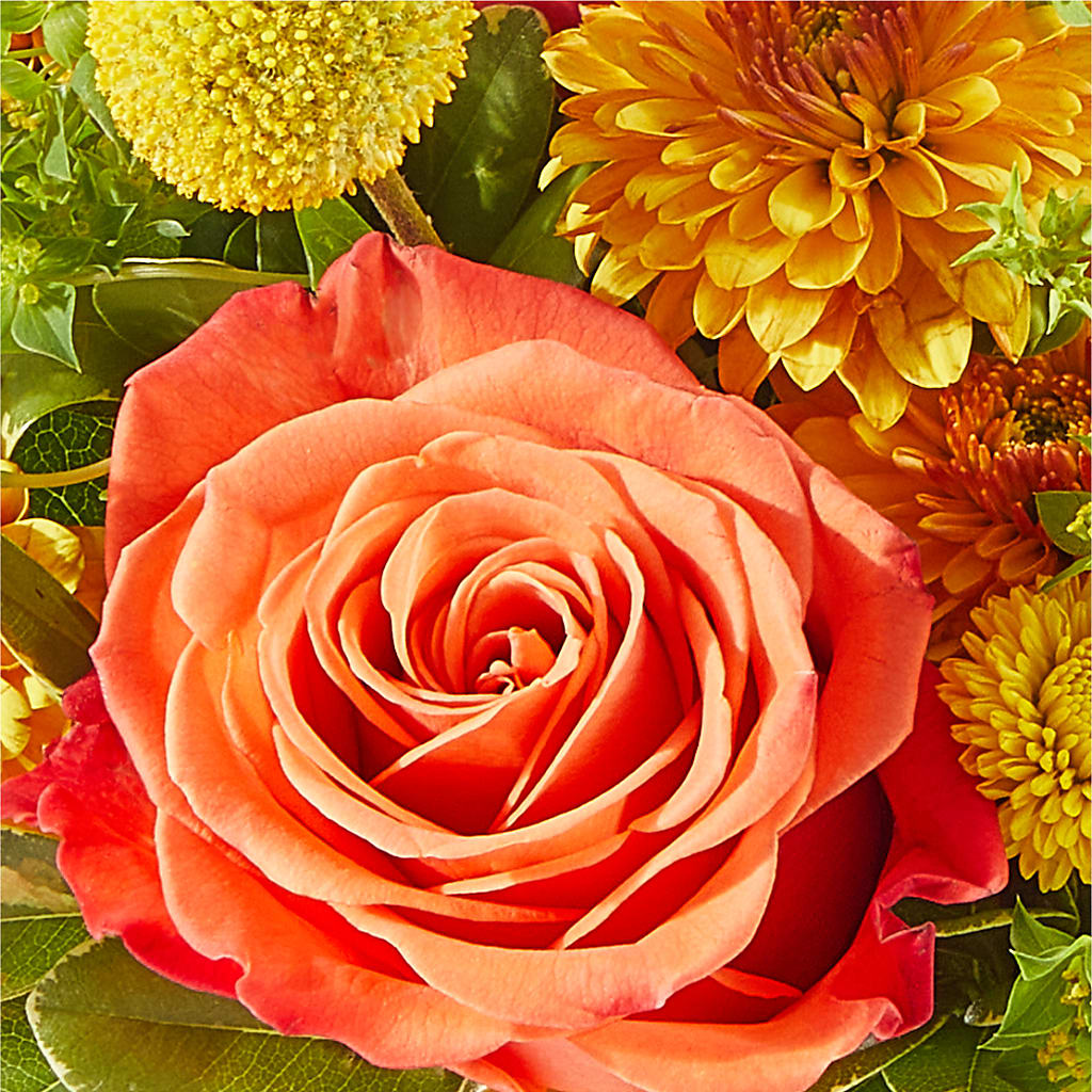 Gourdgeous Pumpkin –  Sayla Flowers, Los Angeles CA