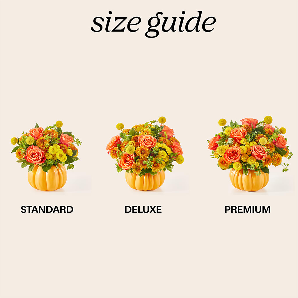 Gourdgeous Pumpkin –  Sayla Flowers, Los Angeles CA