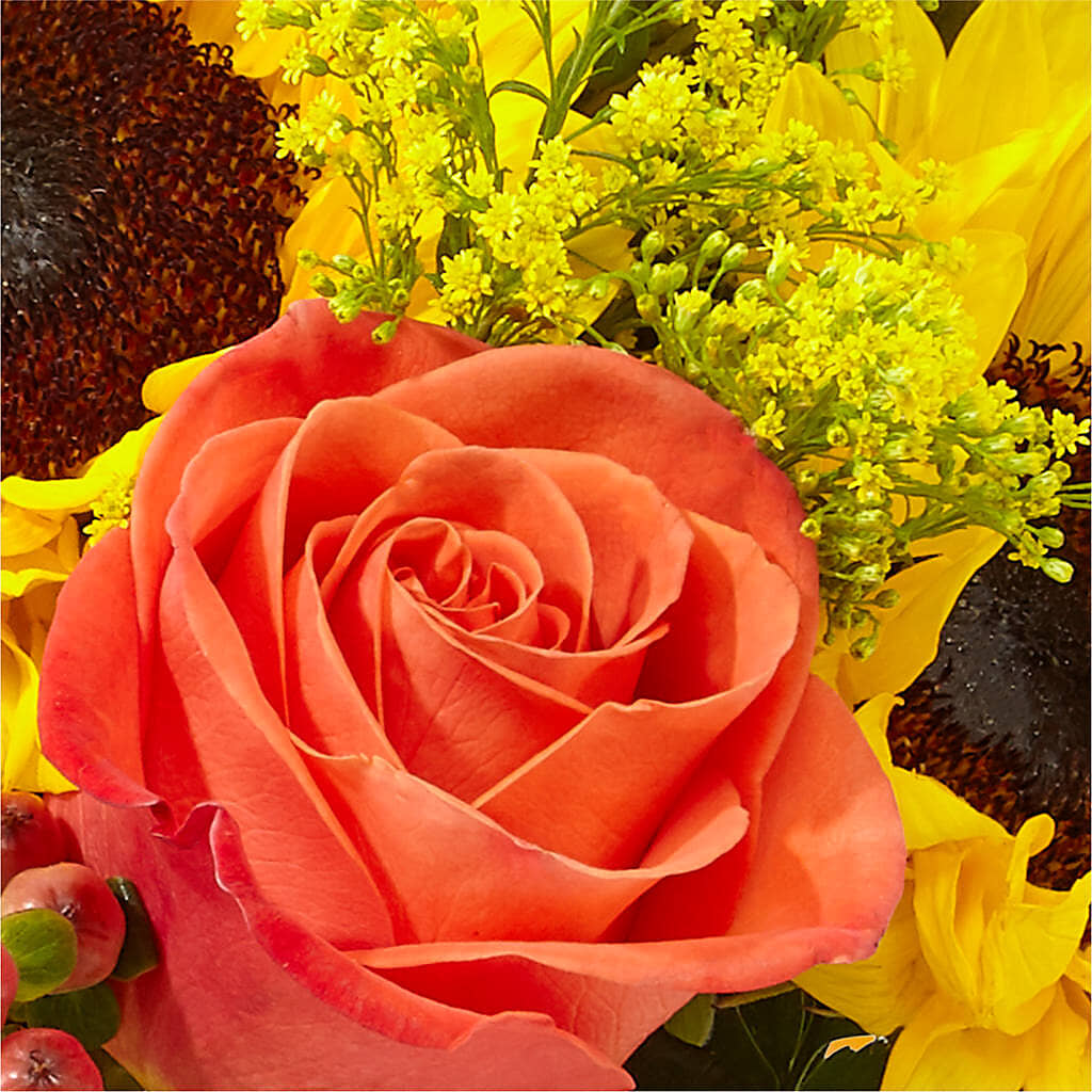 Pick of the Patch Pumpkin Bouquet –  Sayla Flowers, Los Angeles CA