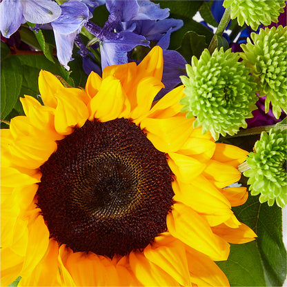 Catching Rays Bouquet –  Sayla Flowers, Los Angeles CA