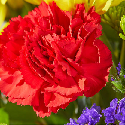 Brighter Days Bouquet –  Sayla Flowers, Los Angeles CA