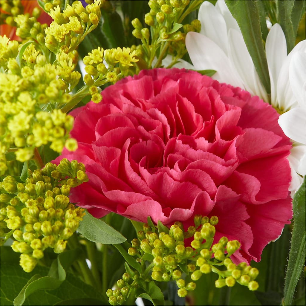 Oopsie Daisy Bouquet –  Sayla Flowers, Los Angeles CA
