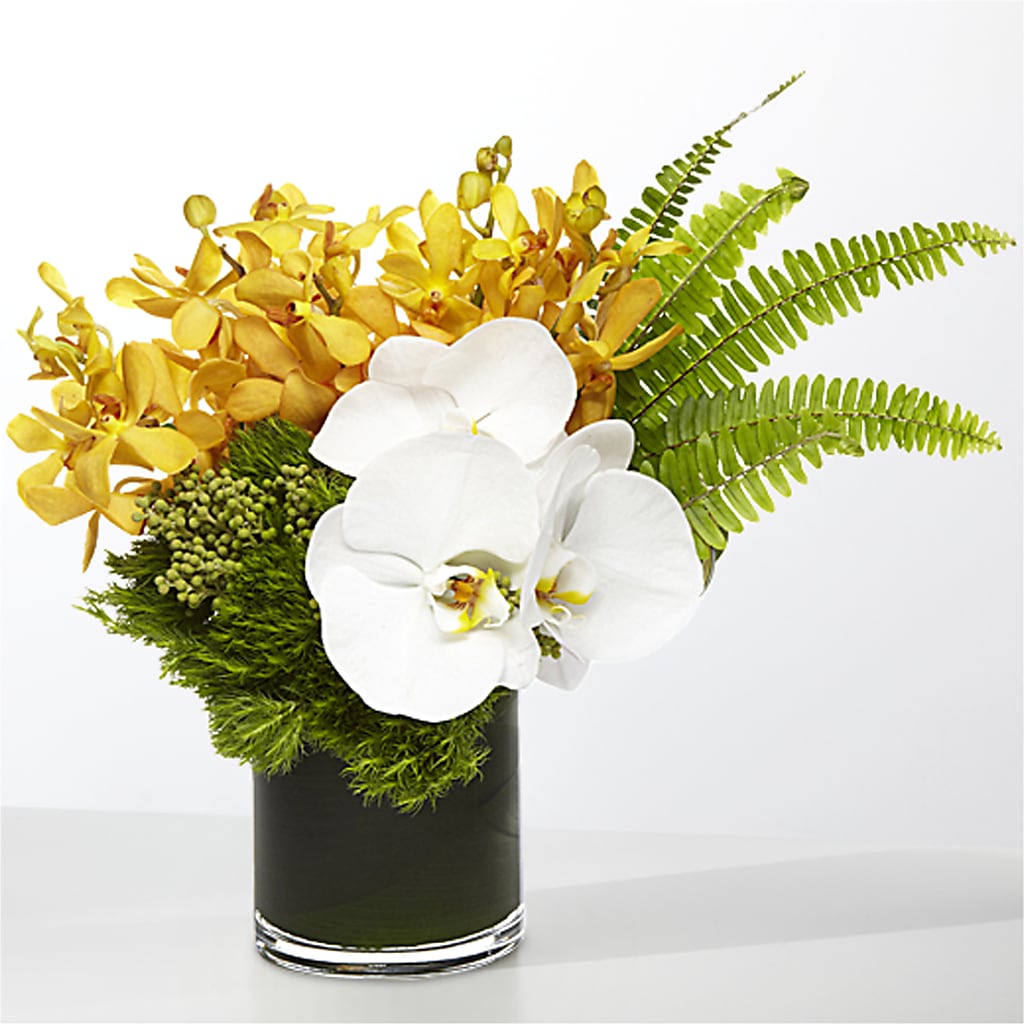 The Tropics –  Sayla Flowers, Los Angeles CA