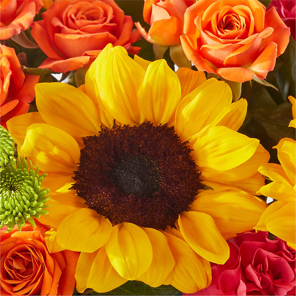 Sun-drenched Blooms Box Bouquet –  Sayla Flowers, Los Angeles CA