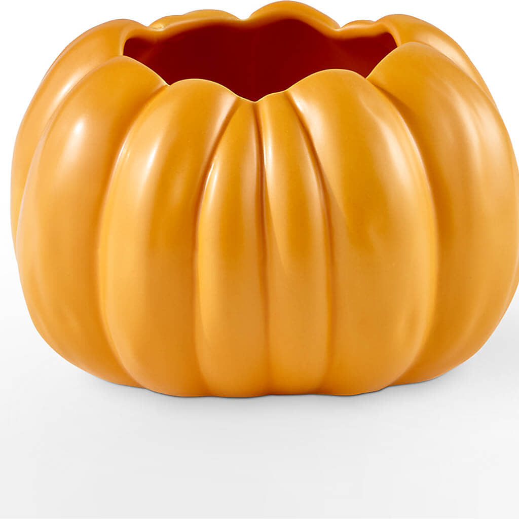 Pick of the Patch Pumpkin Bouquet –  Sayla Flowers, Los Angeles CA