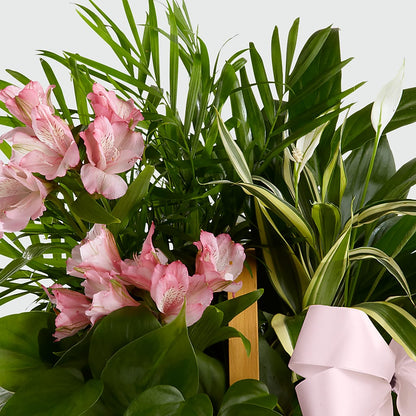 Living Spirit Dishgarden –  Sayla Flowers, Los Angeles CA