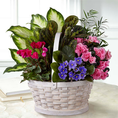 Peaceful Garden Planter –  Sayla Flowers, Los Angeles CA