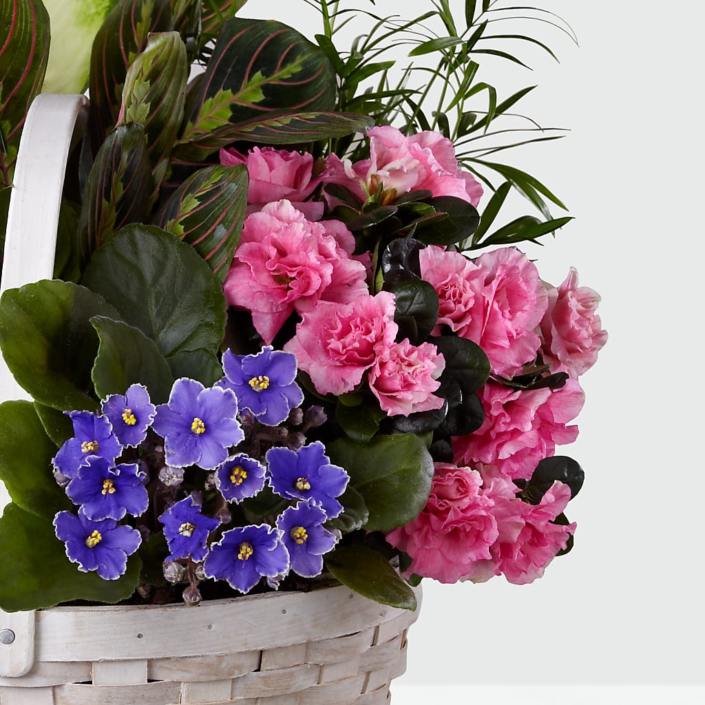 Peaceful Garden Planter –  Sayla Flowers, Los Angeles CA