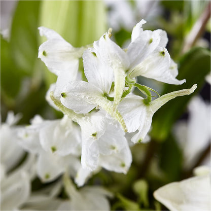 Classic Ivory – A Florist Original –  Sayla Flowers, Los Angeles CA