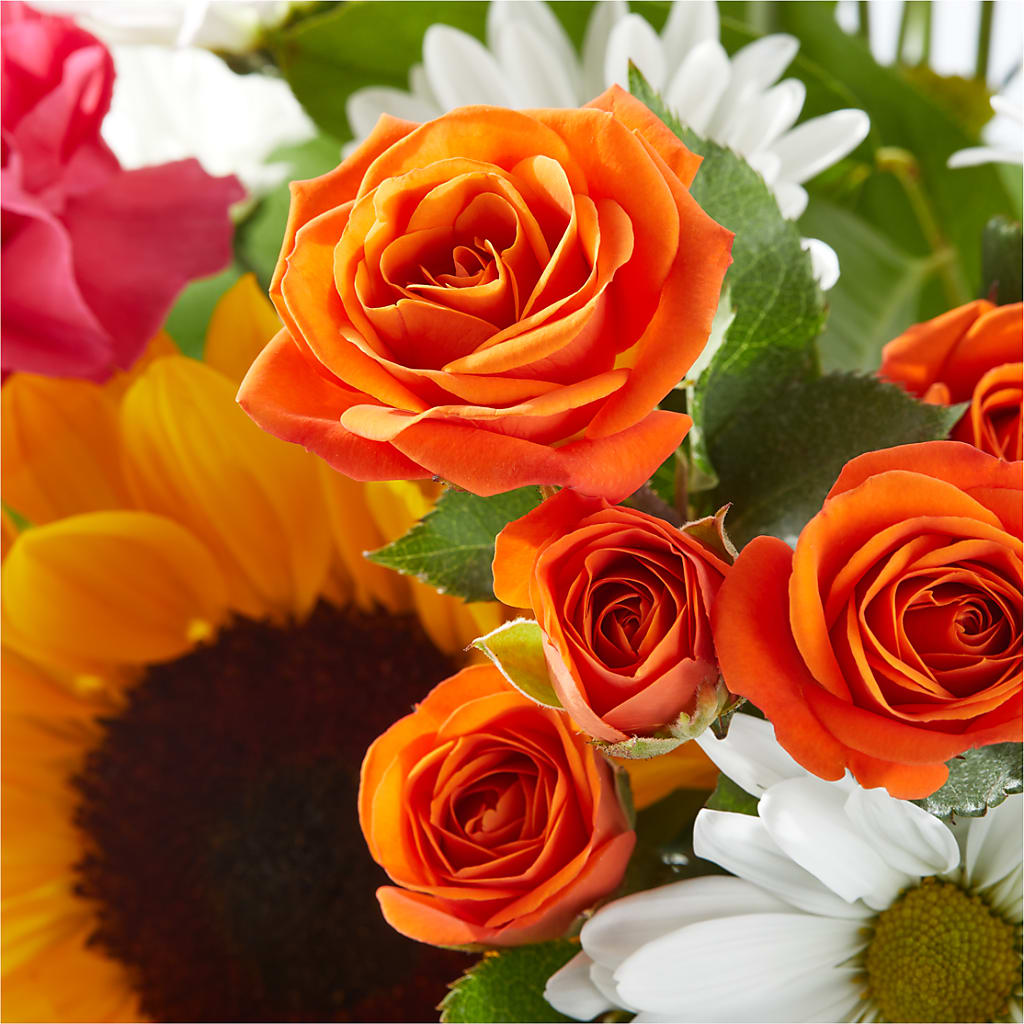 Sun-drenched Blooms Bouquet –  Sayla Flowers, Los Angeles CA