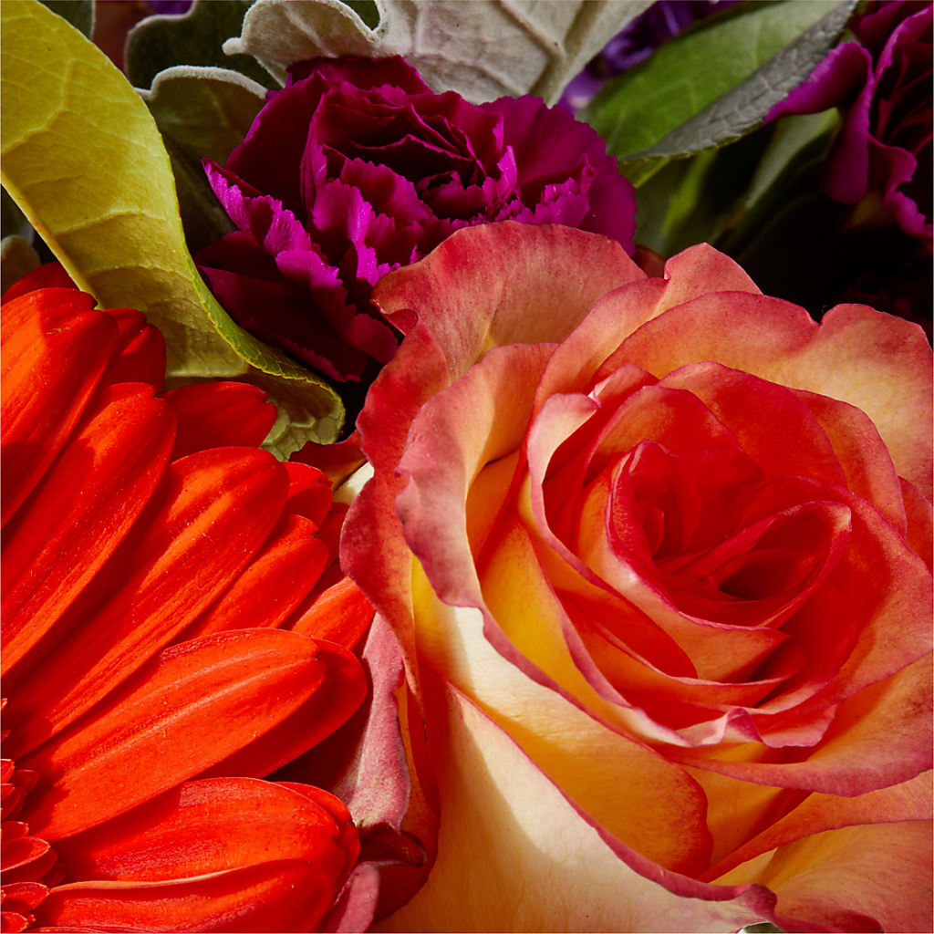 Sangria Bouquet –  Sayla Flowers, Los Angeles CA