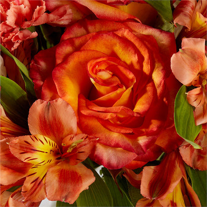 Apricot Glow Bouquet –  Sayla Flowers, Los Angeles CA