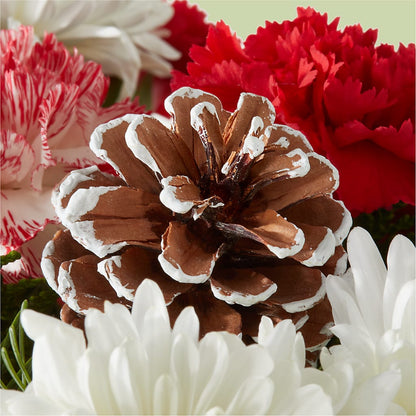 Candy Cane Lane Bouquet –  Sayla Flowers, Los Angeles CA