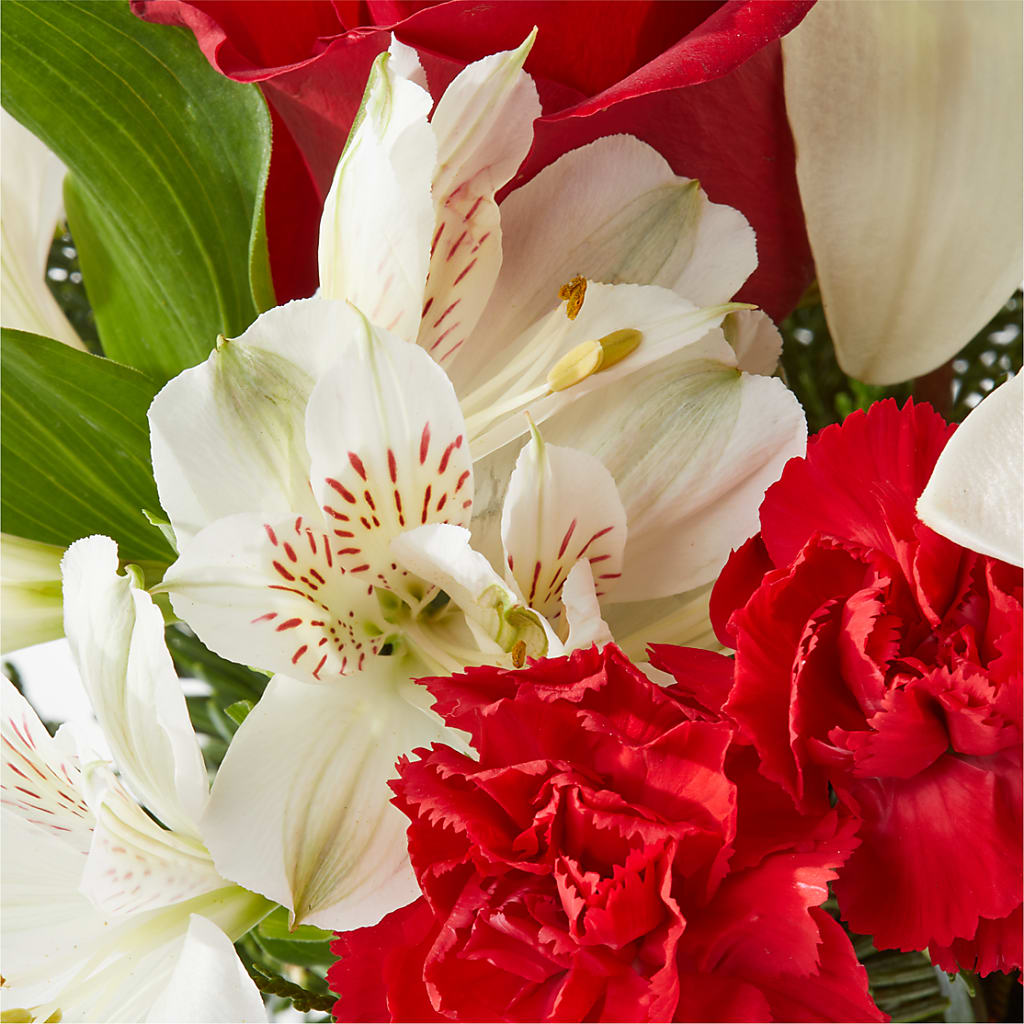 Holiday Season Bouquet –  Sayla Flowers, Los Angeles CA