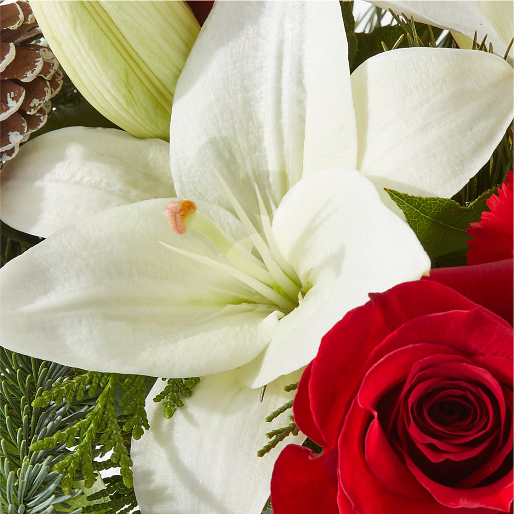 Oh So Jolly Bouquet –  Sayla Flowers, Los Angeles CA
