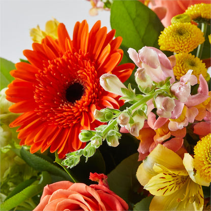 Autumn Sunshine Bouquet –  Sayla Flowers, Los Angeles CA