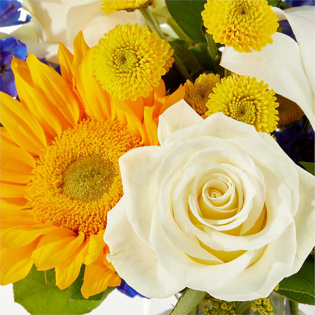 Stargazing Bouquet –  Sayla Flowers, Los Angeles CA